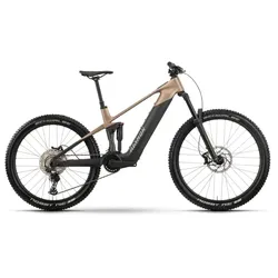 Raymon Tarok Pure E-Bike Carbon/Stone/Sand Gr. L