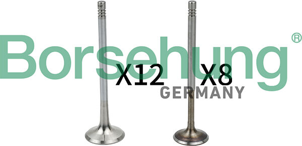 Borsehung Ventilsatz, Einlass-/auslassventil B18635 Für Vag