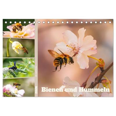 Bienen und Hummeln in Aktion (Tischkalender 2026 DIN A5 quer), CALVENDO Monatskalender
