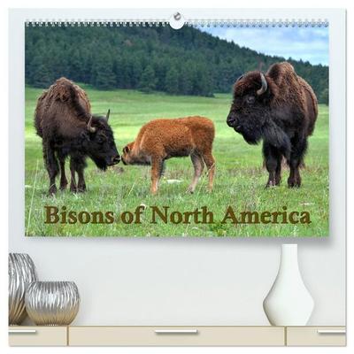 Bisons of North America (High Quality Premium Wall Calendar 2027 DIN A2 landscape),CALVENDO 12 Month Wall Calendar