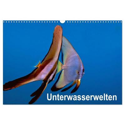 Unterwasserwelten (Wandkalender 2027 DIN A3 quer), CALVENDO Monatskalender