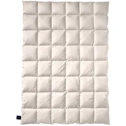 Billerbeck Zirberella Daunendecke - 135x200cm
