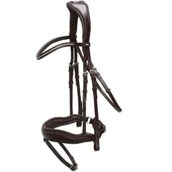 Trense SP Stanford Anatomic Line