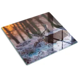 GLASPLATTE 60x52 cm Sonnenaufgang über dem Hirsch