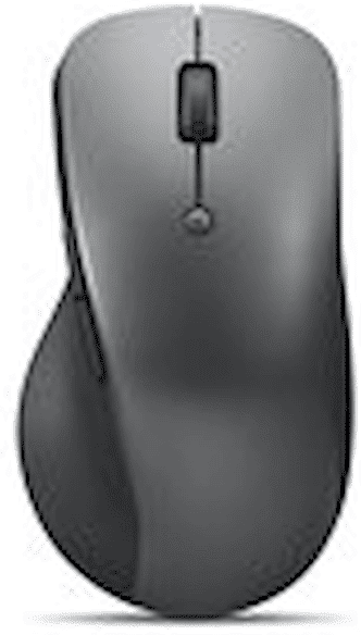 Lenovo Professional - Mus - ergonomisk - optisk blÃ¥ - 6 knappar