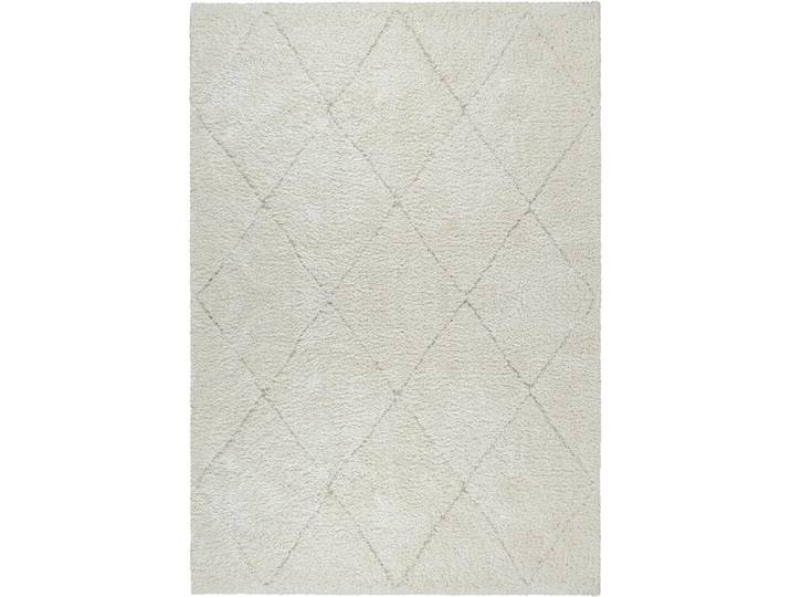 HOCHFLORTEPPICH IDEAL SHAGGY 80260