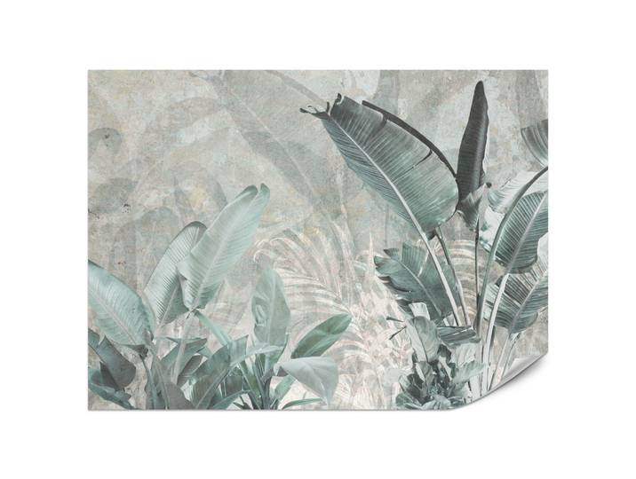 FOTOTAPETE für Küche Beton Bananenblätter Abstrakt Pflanzen Vintage 200x140