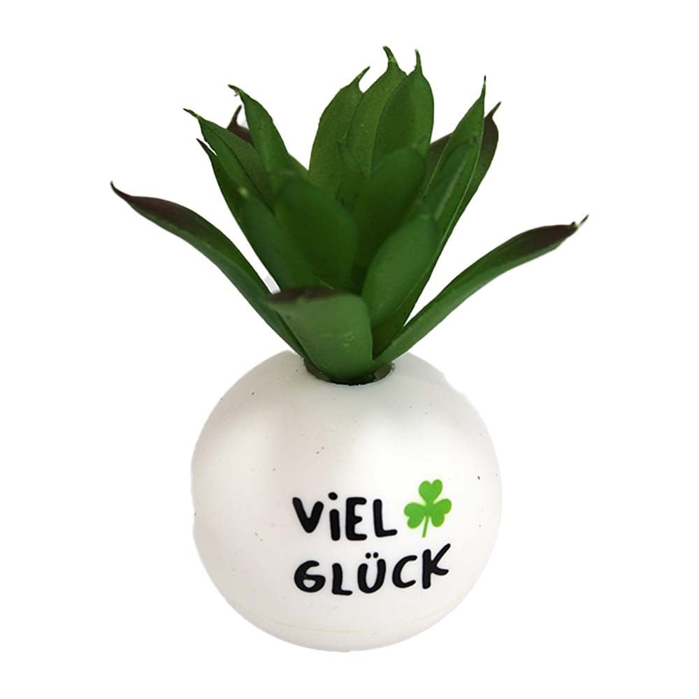 BEMIRO Decoratieve plant met motivatie Viel Glück, hoogte: 8 cm