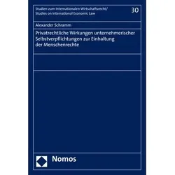 Schramm:Privatrechtliche Wirkungen unte, Fachbücher von Alexander Schramm