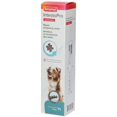 Beaphar IntestoPro Pasta Hond > 15 kg 20 ml Paste