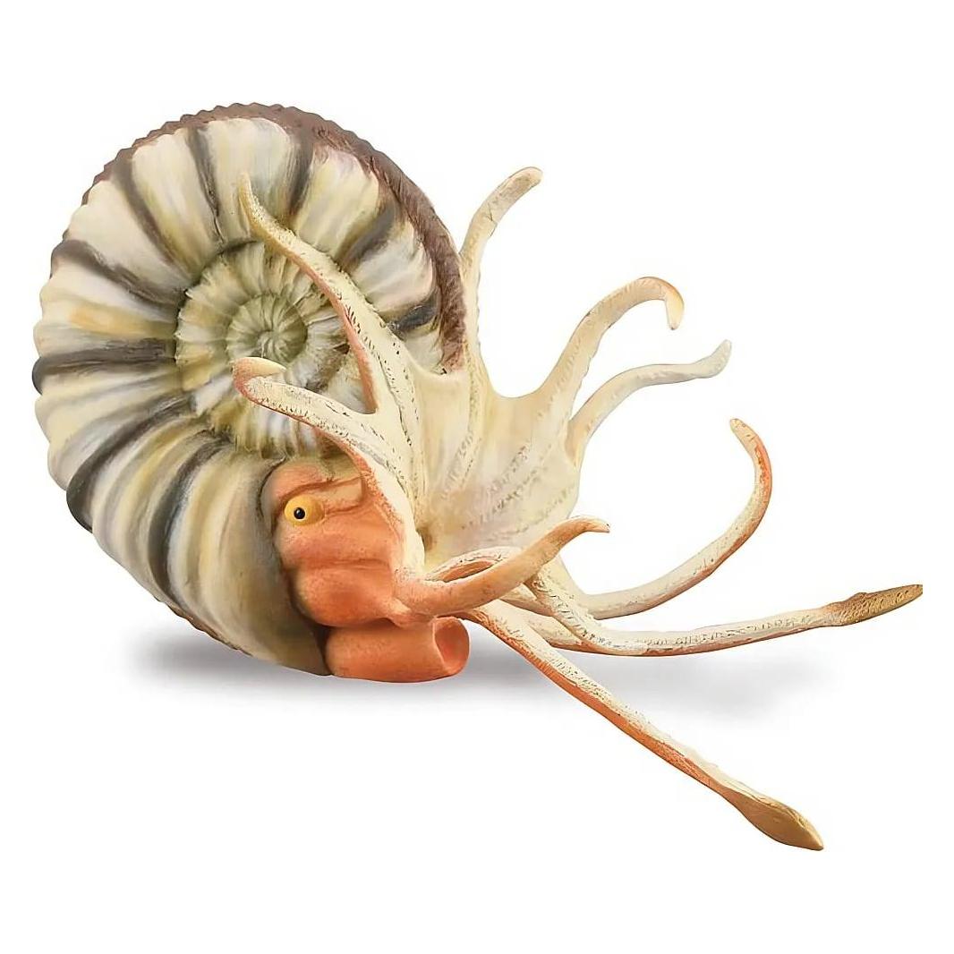Collecta PLEUROCERAS AMONITE FIGUR - - 88902 - XL (004-88902)