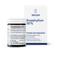 BRYOPHYLLUM 50% Pulver zum Einnehmen 20 g