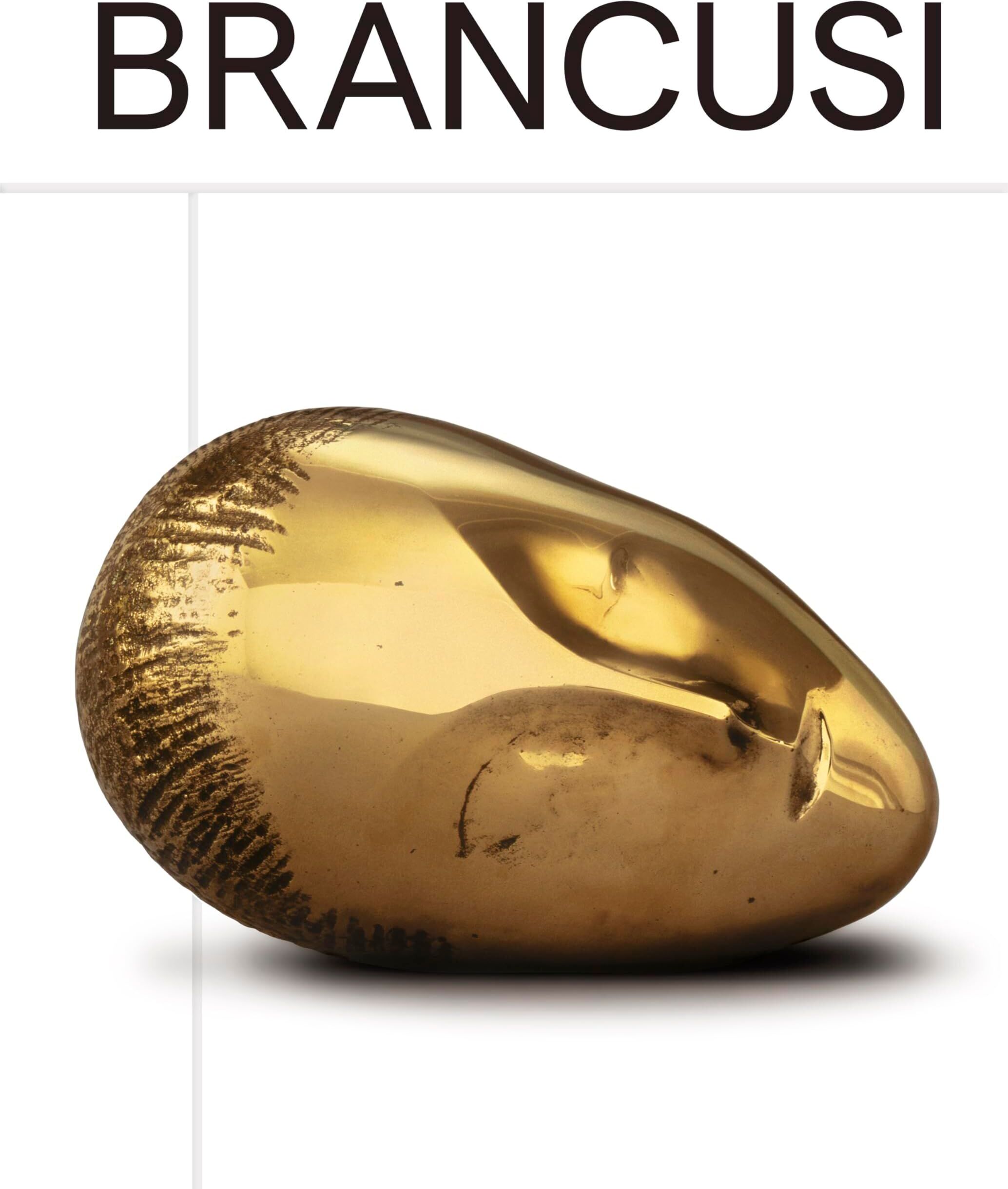 Constantin Brancusi - Brancusi - Preis vom 06.10.2026 07:26:00 h