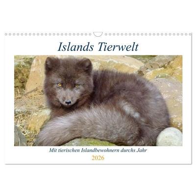Islands Tierwelt - Mit tierischen Inselbewohnern durchs Jahr (Wandkalender 2026 DIN A3 quer), CALVENDO Monatskalender