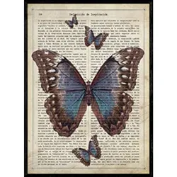 POSTER Schwarz Schmetterling. Schmetterlinge . A4 Rahmenlos