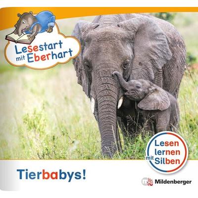Lesestart mit Eberhart: Tierbabys!, Geheftet von Stefanie Drecktrah,Nicole Brandau, Mildenberger Verlag GmbH, 978-3-619-04486-3