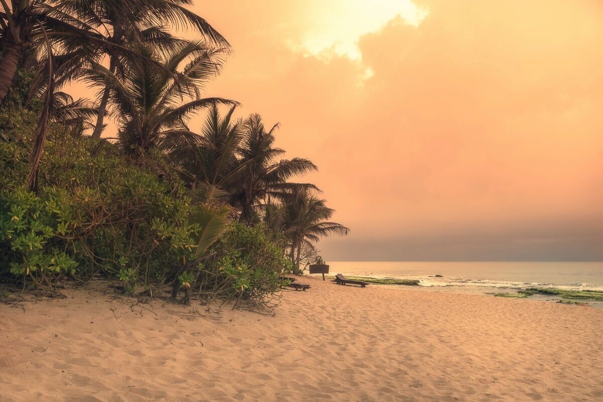 Fototapete PAPERMOON "Sri Lanka Tangalle Strand", bunt, B:2,5m L:1,86m, Vlies, Tapeten, Fototapete bunt B/L: 2,5m x 1,86m, Bahnen: 5 Stk.