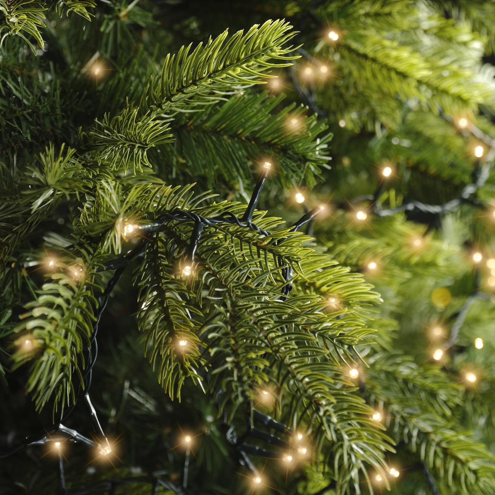 Lumineo Kerstverlichting LED Compact Ricelights Buiten 750 cm
