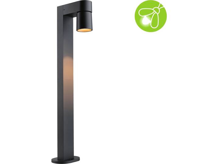 Paulmann LED Borne d'éclairage Kimu respectueuse des insectes