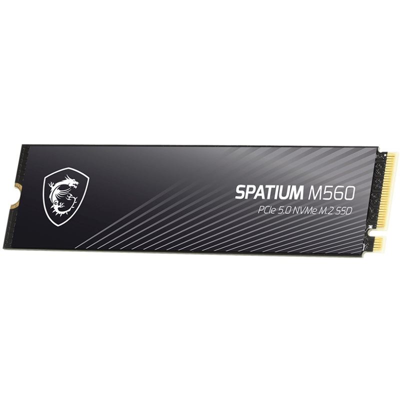 2TB MSI Spatium M560 M.2 2280 PCIe 5.0 x4 3D NAND (S78-440Q940-P83)