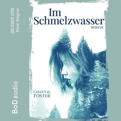 Im Schmelzwasser - Chantal Foster, Audio, 9783756282289