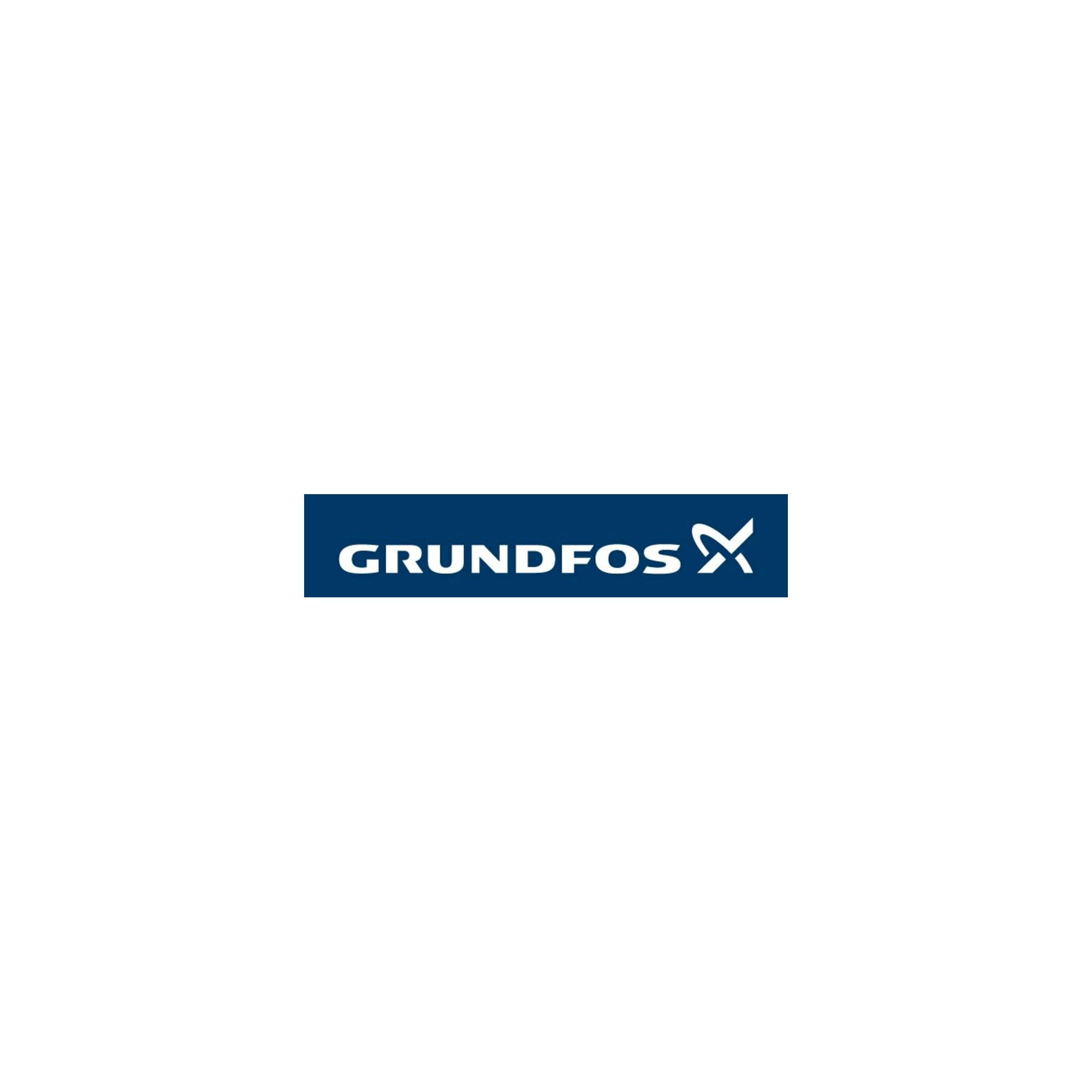 Grundfos Zubehör für vert. Kreiselpumpen Ovalflanschsatz Rp1_1/4 Grauguß (96449749)