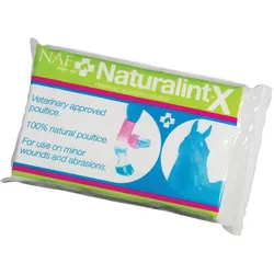 Wundauflage NaturalintX