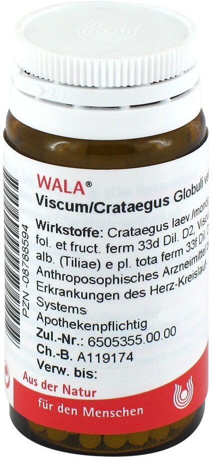 Wala Viscum Crataegus Globuli