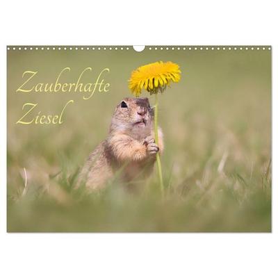Zauberhafte Ziesel (Wandkalender 2027 DIN A3 quer), CALVENDO Monatskalender