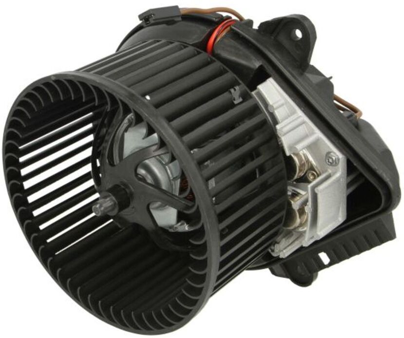 Elektromotor, Innenraumgebläse THERMOTEC DDP011TT