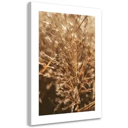 WANDBILD beigefarbenes gras