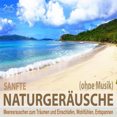Sanfte Naturgeräusche (ohne Musik) - Meeresrauschen zum Träumen und Einschlafen, Wohlfühlen, Entspannen - Torsten Abrolat,Franziska Diesmann, Audio,