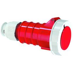 Bals Elektrotechnik 310426 310426 CEE Kupplung 1 St.