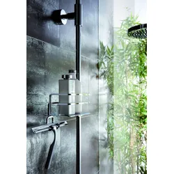 Giese Duschkorb mit Haken und Wischer zur nachträgl. Montage Brausestange links, 30787-02 30787-02