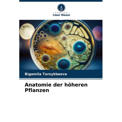 Anatomie der höheren Pflanzen, Taschenbuch von Bigamila Torsykbaeva, Verlag Unser Wissen, 978-620-8-55493-4