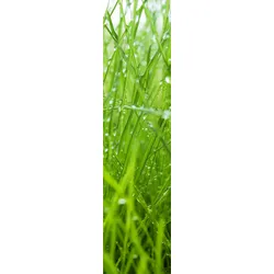 XIMAX Paneelheizkörper P1 Plan Print, mit Mittenanschluss und Motiven - P1 (Gras) - 1800x445x63 mm, 816 Watt