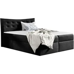 BOXBETT Havana - H3