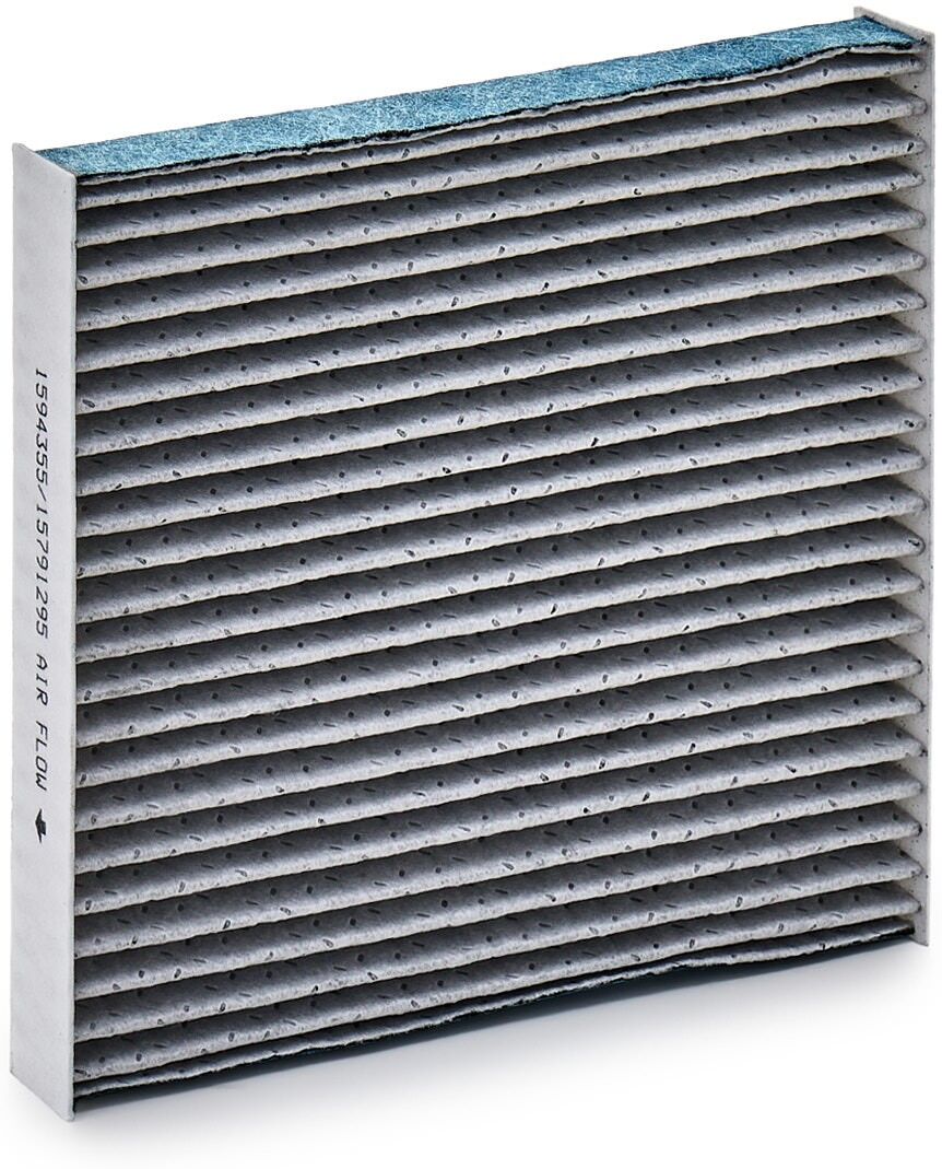 RIDEX 424I0581 Pollen filter