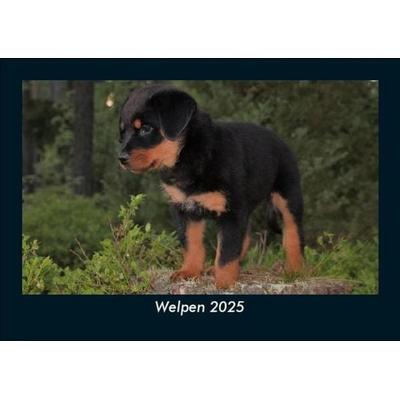 Welpen 2025 Fotokalender DIN A5