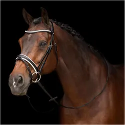 HV Polo, Zaumzeug