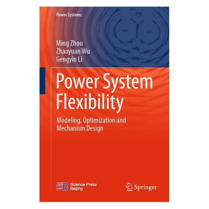 Springer Power System Flexibility (61649449)
