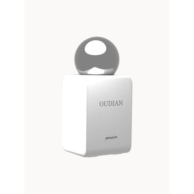 Oudian Extrait de Parfum 50ml holzig, würzig, orientalisch von Pernoire