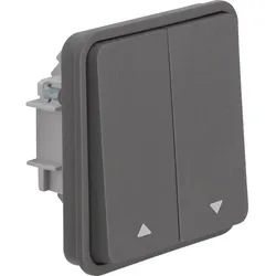 Berker Serienschaltereinsatz 30653515