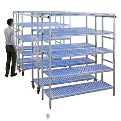 Tournus Ausstattung Fahrregal mit verfahrbarer Führung 5 Ebenen 205 x 135 x 56 cm Tournus - PLQ1350MR