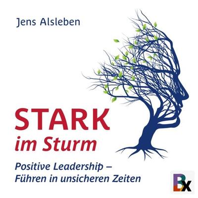 Stark im Sturm - Jens Alsleben, Audio, 9783755424741