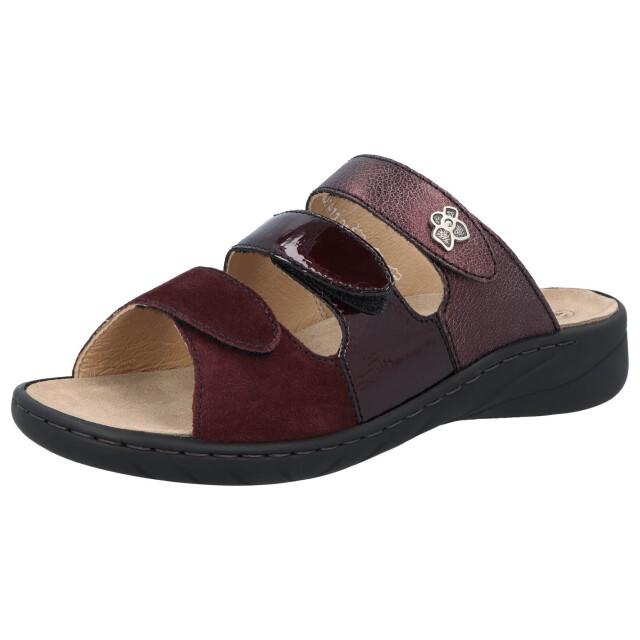Solidus Wellness spezial