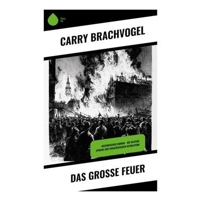 Das große Feuer, Taschenbuch von Carry Brachvogel, Copycat, 978-80-283-9144-7