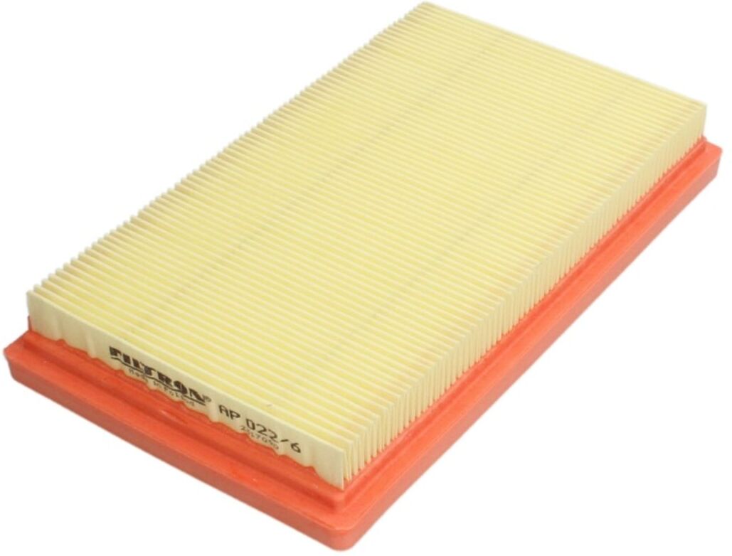 Luftfilter FILTRON AP 022/6
