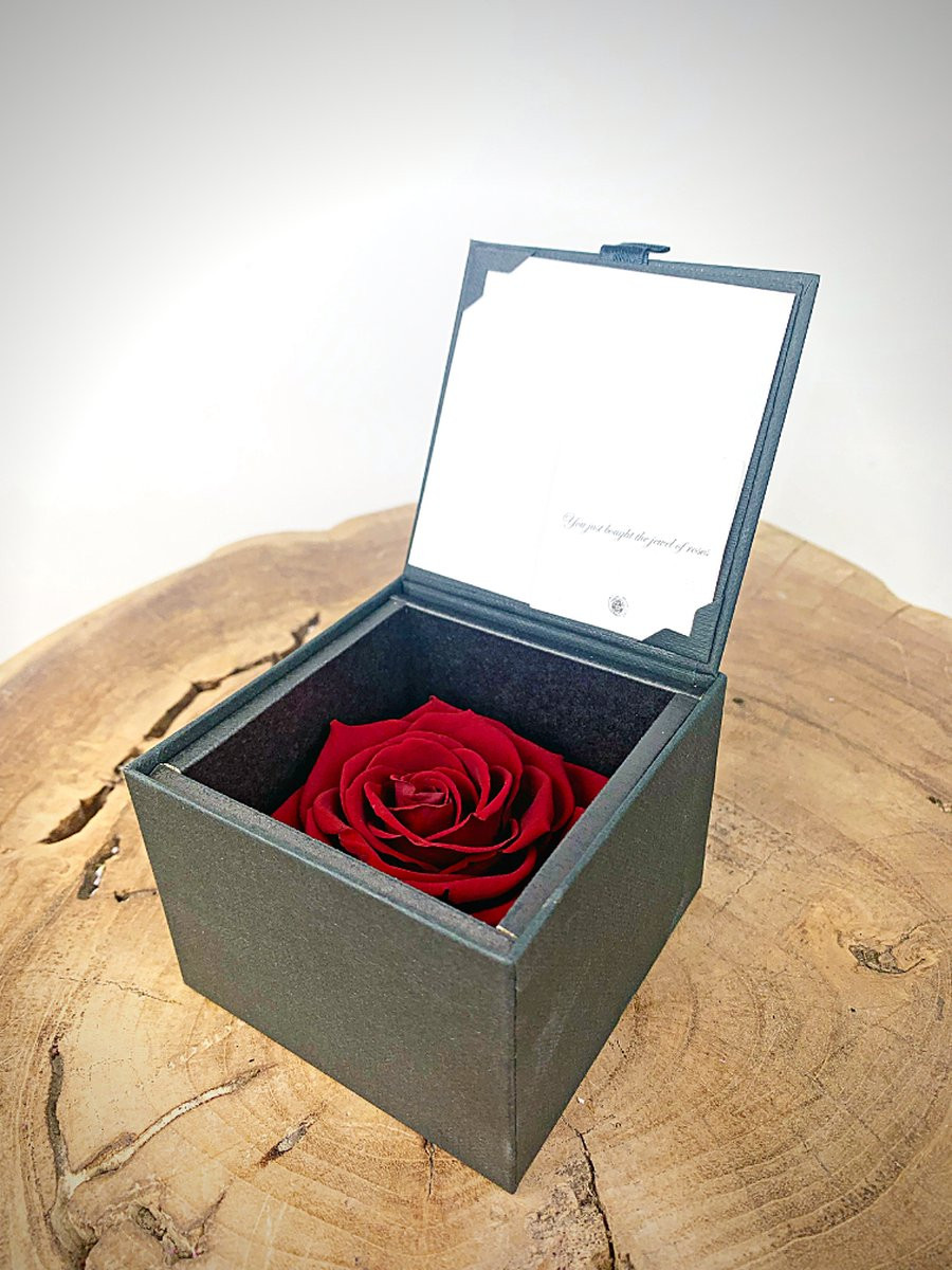 Longlife Roos donkerrood in giftbox