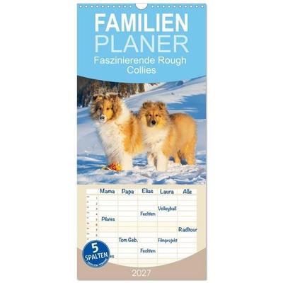 Familienplaner 2027 - Faszinierende Rough Collies mit 5 Spalten (Wandkalender, 21 x 45 cm) CALVENDO